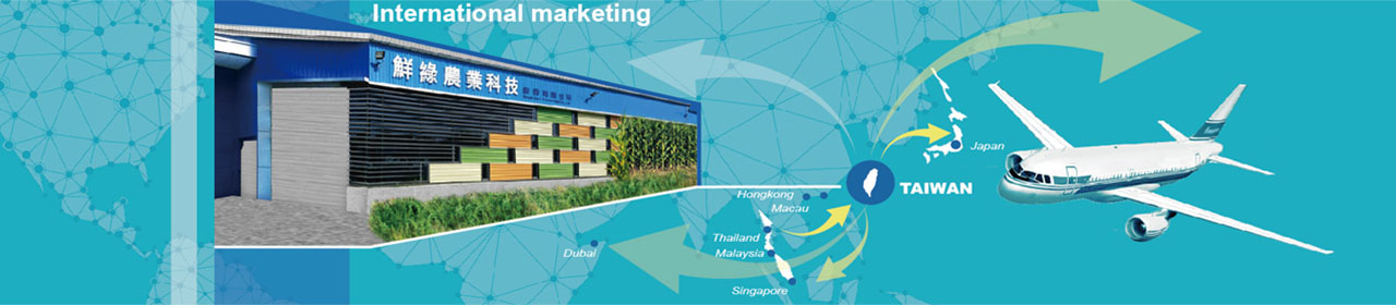 最新消息banner